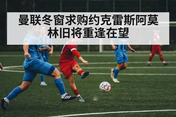 曼联冬窗求购约克雷斯阿莫林旧将重逢在望